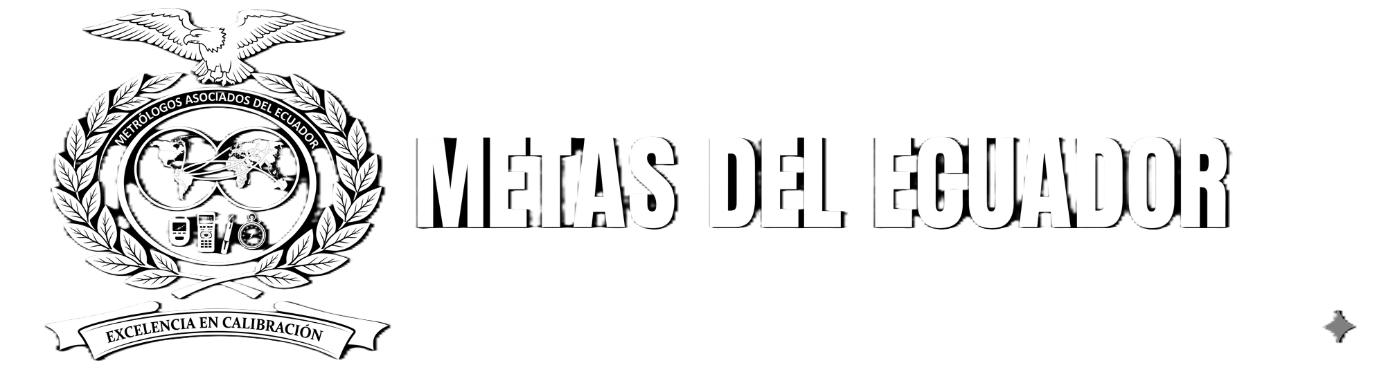 Calibraciones – Metas